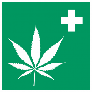 cannabis 2273795 1280 1024x1024 1 300x300 - Hanf / CBD und Multiple Sklerose