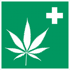 cannabis 2273795 1280 300x300 - Neuer Erfahrungsbericht mit dem 24%igen CBD-Öl von Enecta