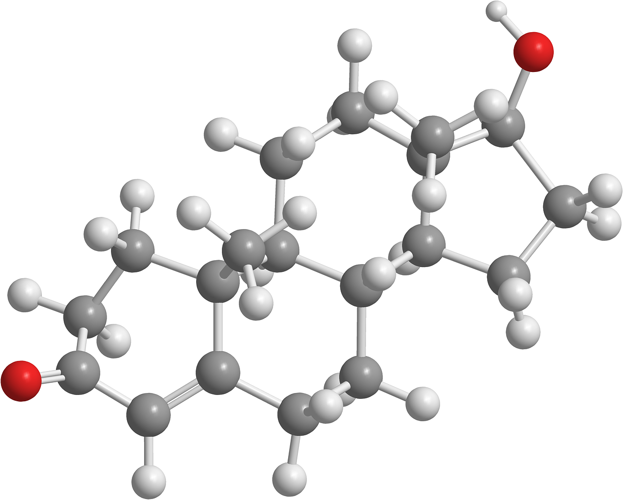 Testosterone 2901425 1280 Heike F hr