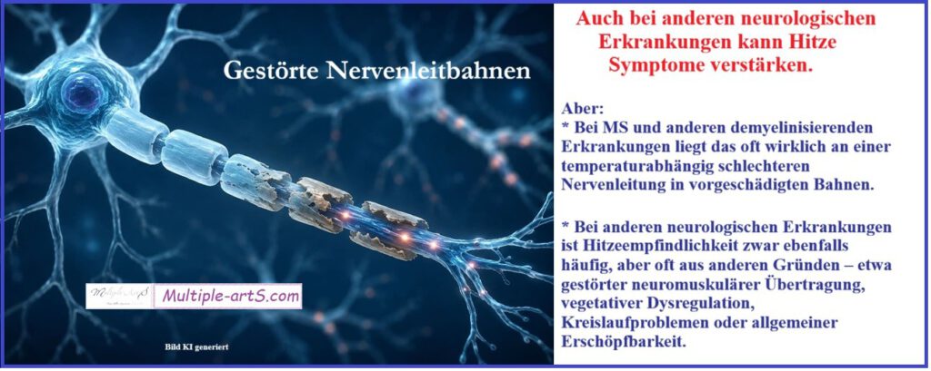 Auch bei anderen neurologischen Erkrankungen kann Hitze Symptome verstaerken. 1024x409 - Hitzeempfindlichkeit gibt es auch bei anderen neurologischen Erkrankungen